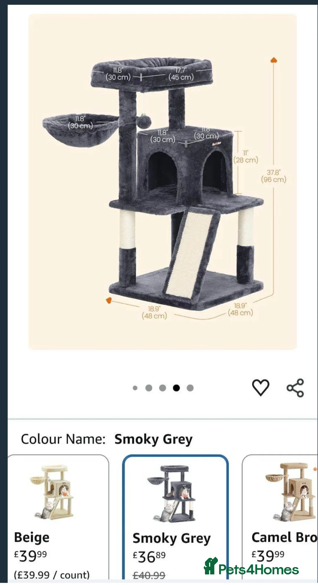 Khao Manee cats for sale: Khao Manee kitten 🐱 - Advert 6