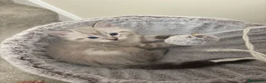 Leonté (Leo)