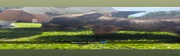 German Shepherd dogs for sale: Beautiful German Shepherd puppies for sale - Advert 7