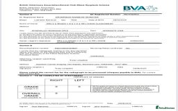 Labrador Retriever dogs for sale: Plump little Red Labrador Puppies! - Image 6