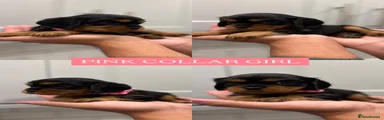 PINK COLLAR FEMALE