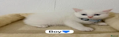 Boy 1