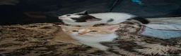Mixed Breed cats for sale: Fluffy playfull healthy kittens - Advert 8
