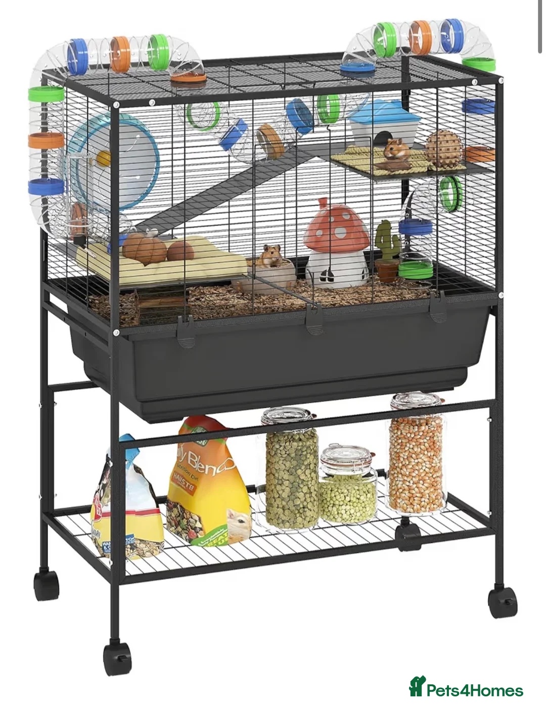 Hamster rodents for sale: 🐹 Friendly Syrian Hamster Looking for Loving Home in Riding Mill - Advert 2