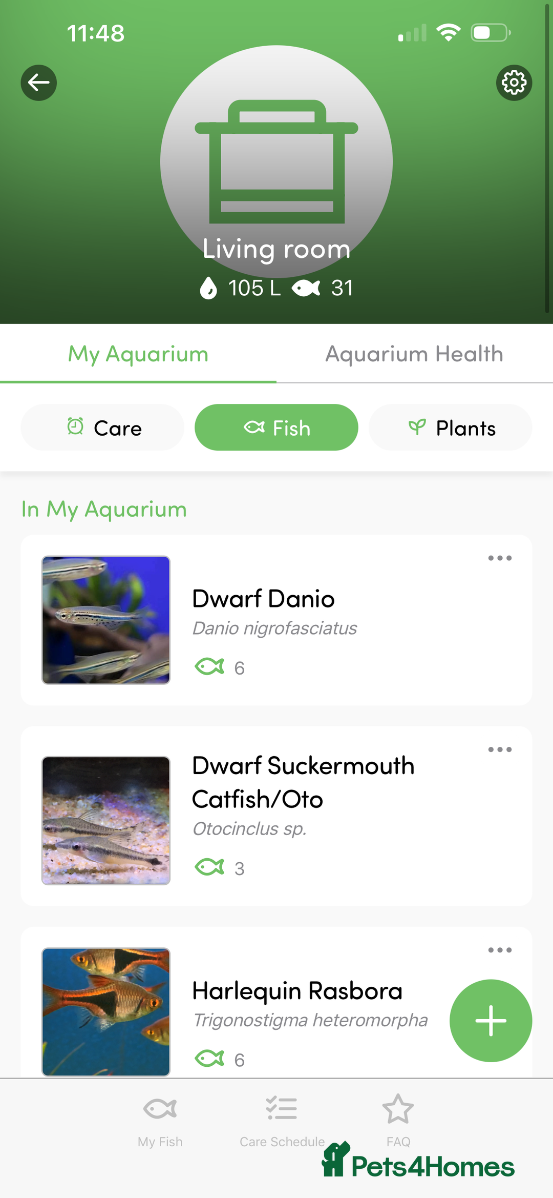 Gouramis fish for sale: 105l tank with live fish  - Advert 3