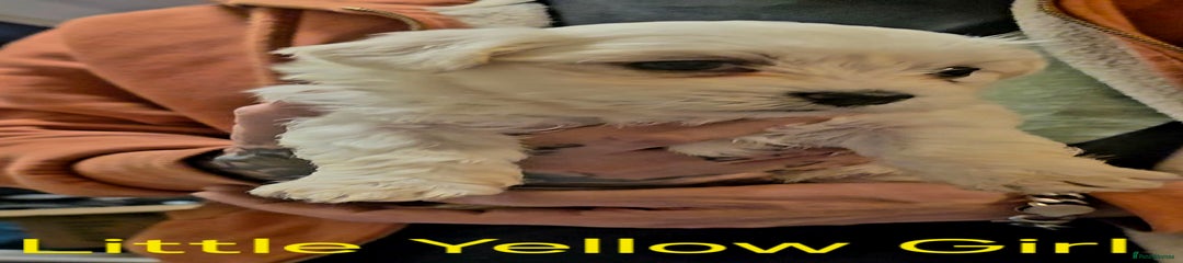 Little girl in Yellow