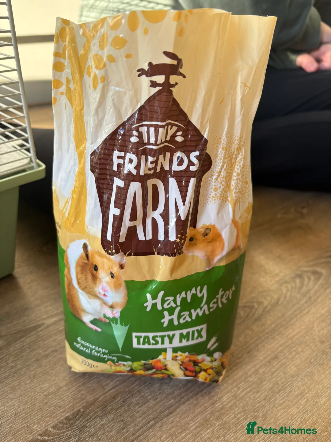 Hamster rodents for sale: Hamster Bean - Advert 7