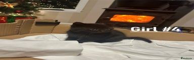 Girl #4