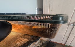 Frog reptiles for sale: Downsizing tree frogs  - Image 5