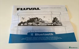 Fancy Goldfish fish for sale: Fancy Goldfish, with full set up  - Image 7