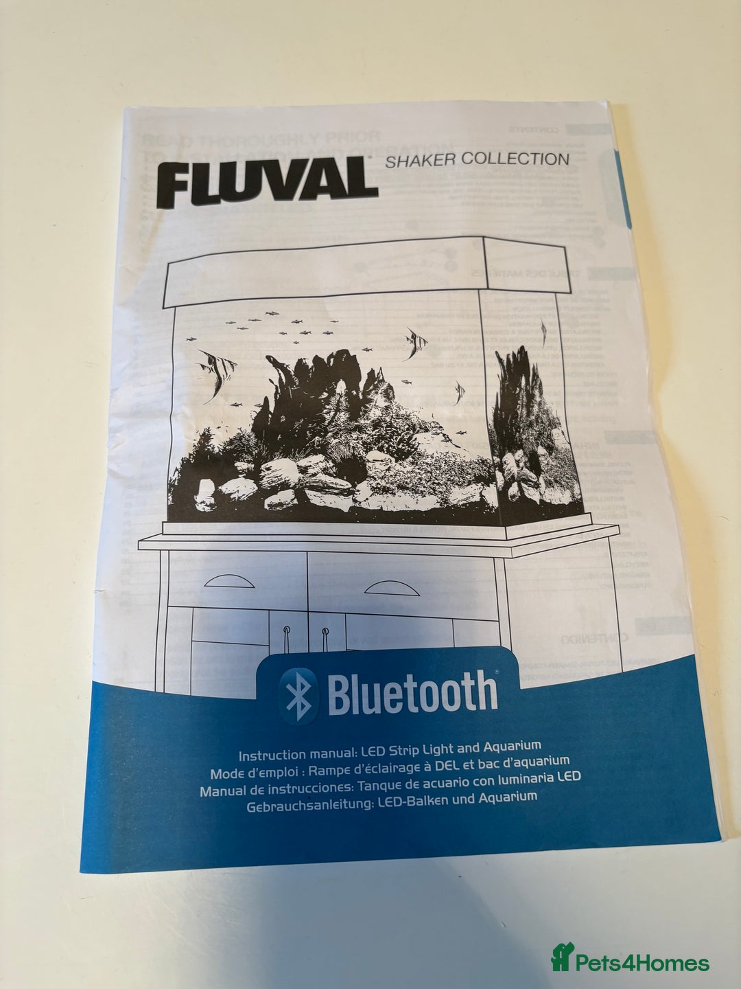 Fancy Goldfish fish for sale: Fancy Goldfish, with full set up  - Image 7