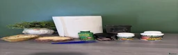 Bearded Dragon reptiles for sale: Bearded dragon with full vivarium set up  in Aldershot - Advert 6