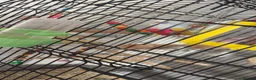 Budgerigars birds for sale: 2 male 2 female budgies for sale  - Advert 1