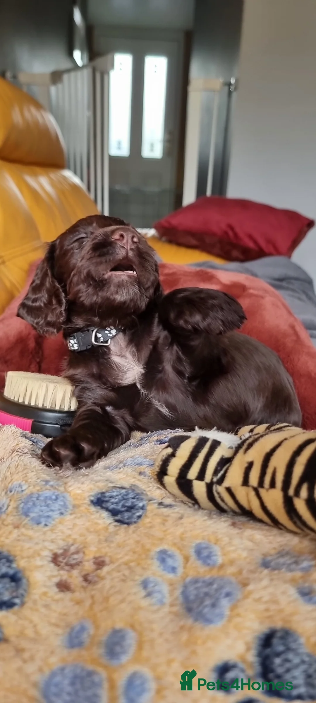 Gallery Image {{count}}