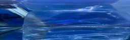 Bettas fish for sale: Mixed betta fish  - Advert 28