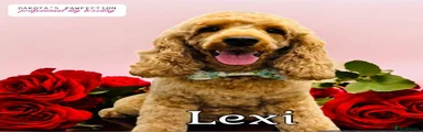 Lexi 