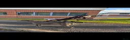 Whippet dogs for sale: KC Whippet Puppies  in Chesterfield - Advert 22