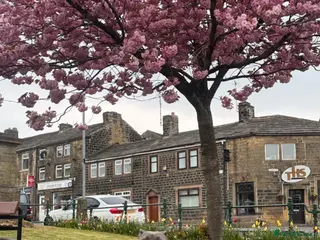 American Bully dogs 🌸🌸 NARLA🌸🌸 - Advert 5