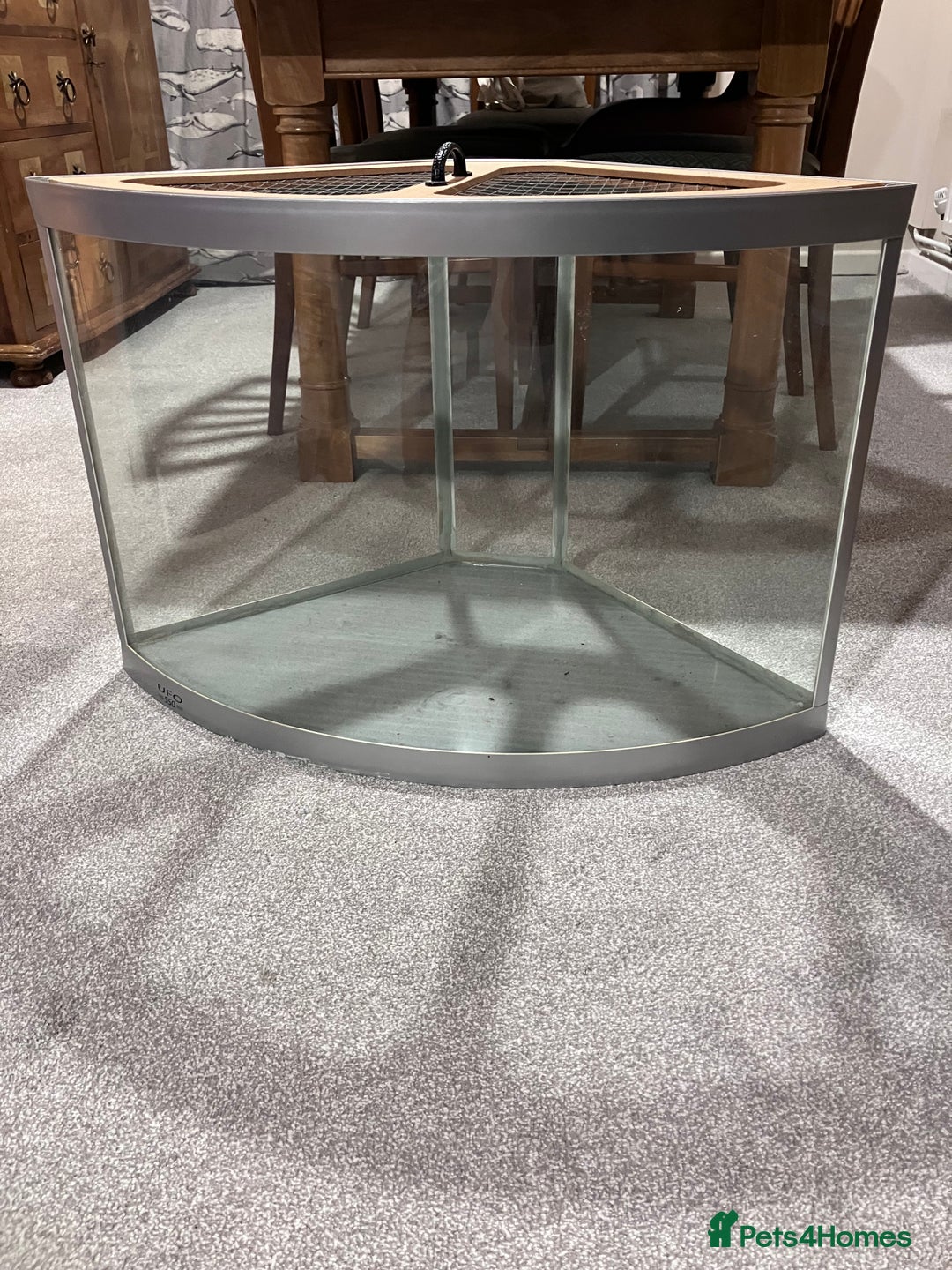 Gerbil rodents for sale: Free to good home !  - Advert 2