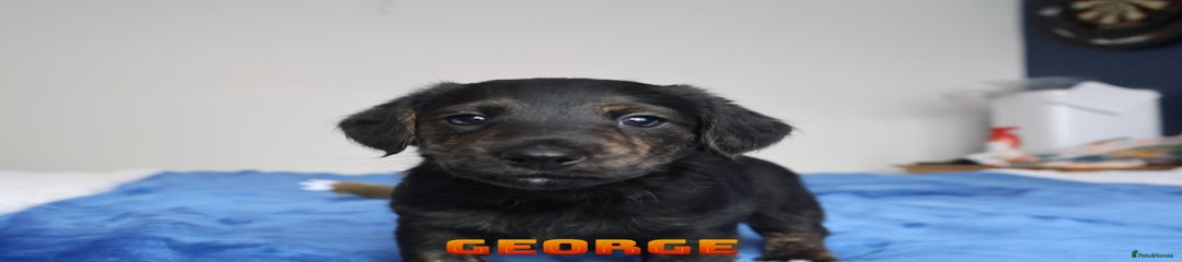 George 