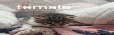 Girl 2