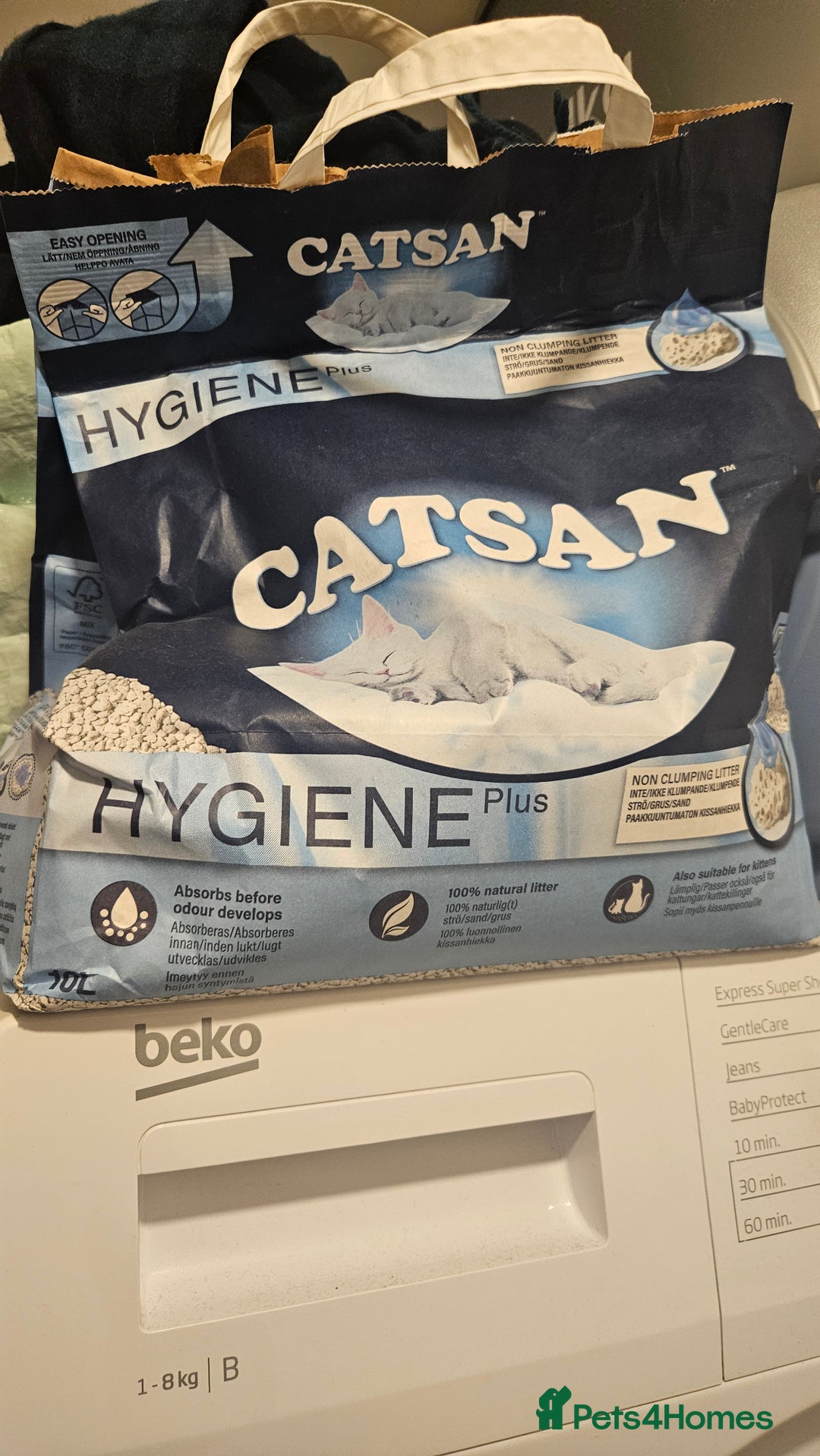 British Shorthair cats for sale: Boy cat for sale includes food/bed/toys - Advert 6