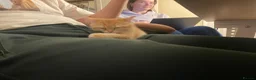 British Shorthair cats for sale: British Shorthair Golden Kittens 2 Beautiful Girls - Advert 5