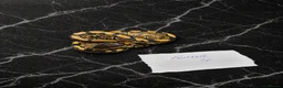Python Snake reptiles for sale: Hatchling Ball Pythons Available!! - Advert 4