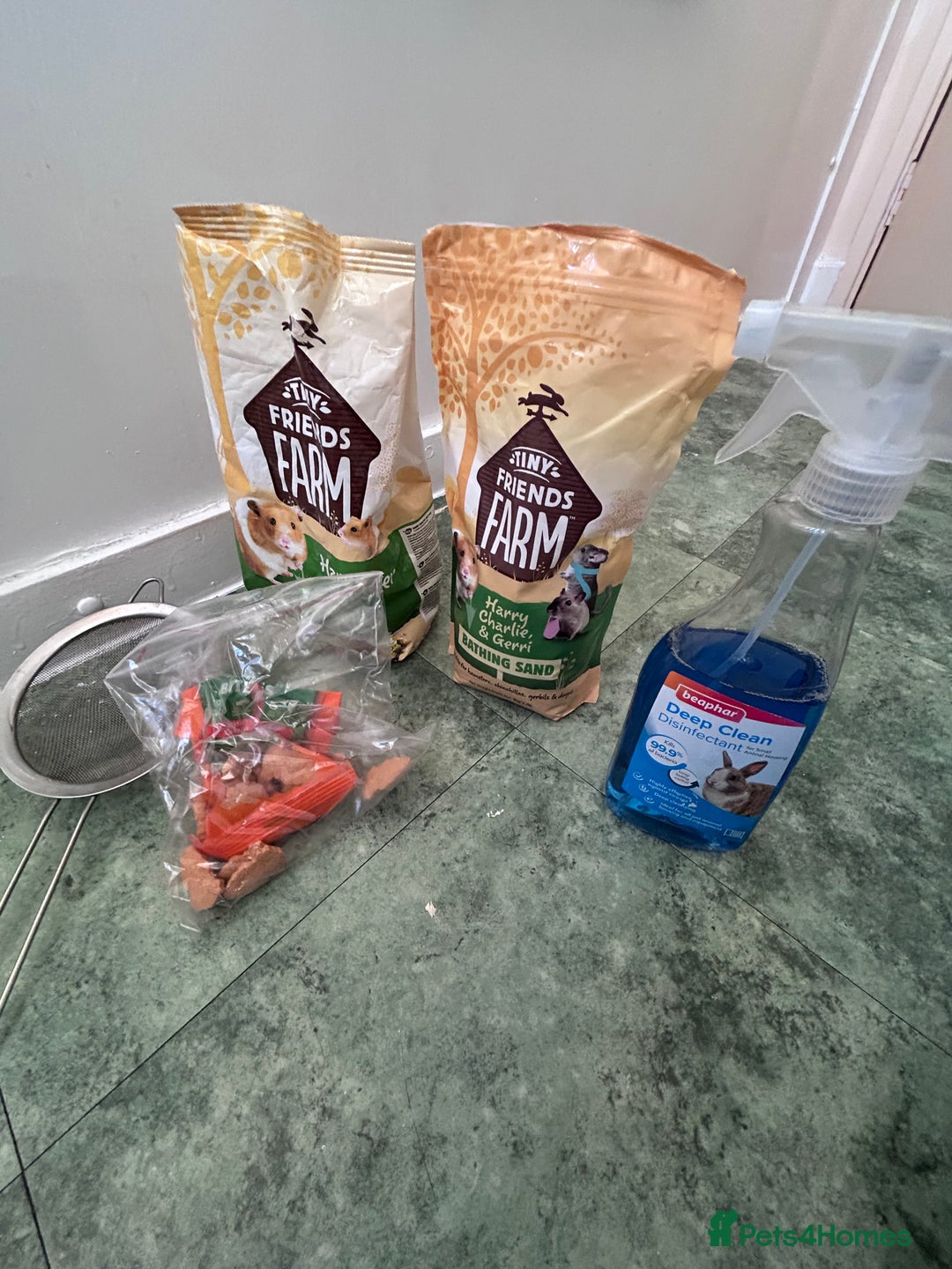 Hamster rodents for sale: coconut,hamster  - Advert 2