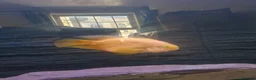 Plecos fish for sale: Mixture Of Fish in Great Yarmouth - Advert 4