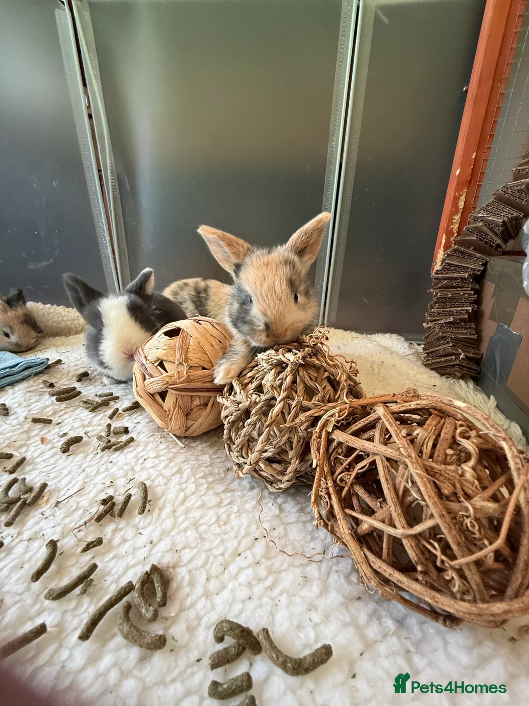 Gallery Image {{count}}