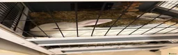 Mixed Breed rabbits for sale: Two Rabbits For Rehome - Advert 2