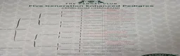 Cocker Spaniel dogs for stud: KC registered Working Cocker Spaniel. in Consett - Advert 12