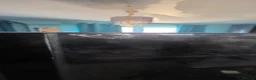 Swordtails fish for sale: Ea reef 900 pro  in Scunthorpe - Advert 9