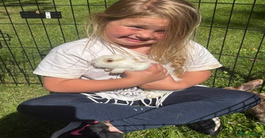 Dwarf Lop rabbits - Advert 14