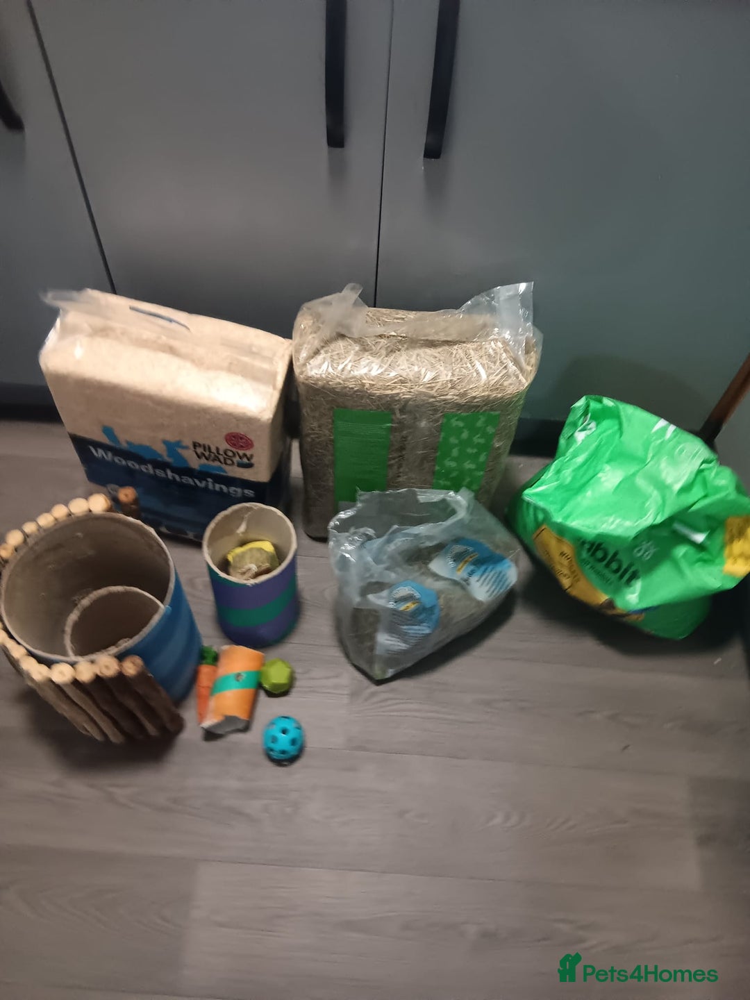 Mini Lop rabbits for sale: 2 Female Rabbits  - Advert 5