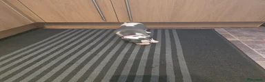 Whippet 3