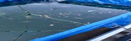 Pond Fish fish for sale: Koi fish in Bedworth - Advert 1
