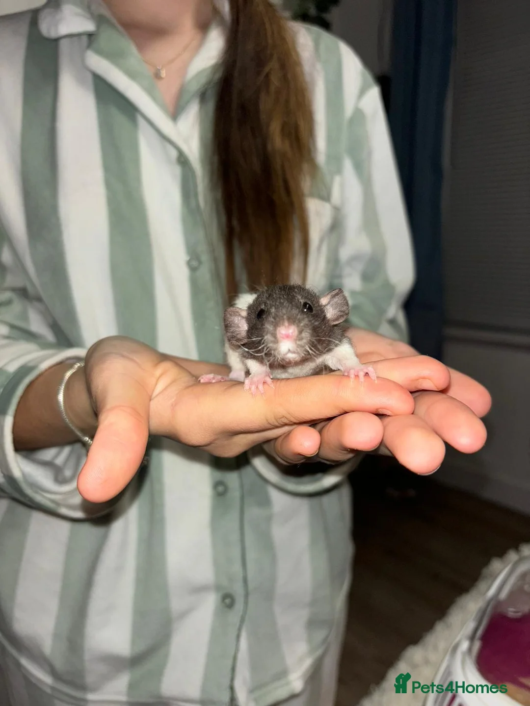 Gallery Image {{count}}