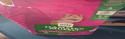Hamster rodents for sale: Russian Dwarf Hamster in Birmingham - Advert 28