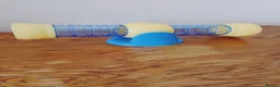 Hamster rodents for sale: Hamster accessories cheap  🐹 in Llandudno - Advert 4