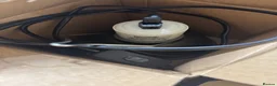 Frog reptiles for sale: Bioactive Vivarium - Advert 10