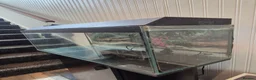 Goldfish fish for sale: Large fishtank for sale - Advert 3