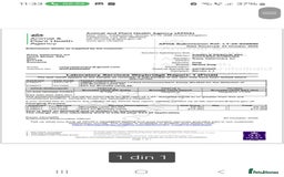 Mixed Breed dogs for adoption: CORA - a Beautiful & Kind Girl, for a Loving Home - Image 12