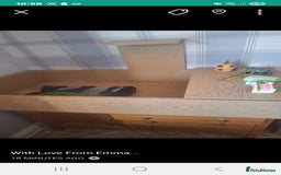 Tortoise reptiles for sale: Horsefield tortoise 🐢  - Image 3