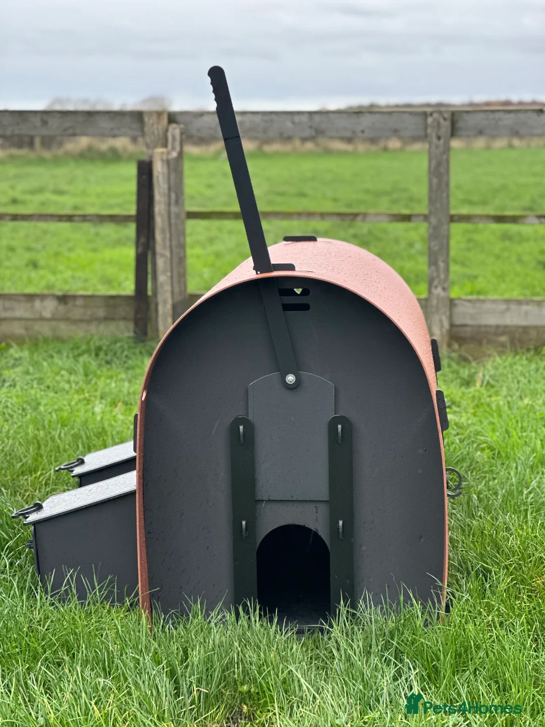 Mixed Breed poultry for sale: Hen House - Recycled - 6 Large Hens - Advert 5