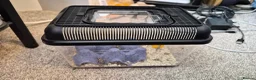 Leopard Gecko reptiles for sale: Leopard Gecko with full setup - Advert 7