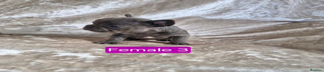 Female 3