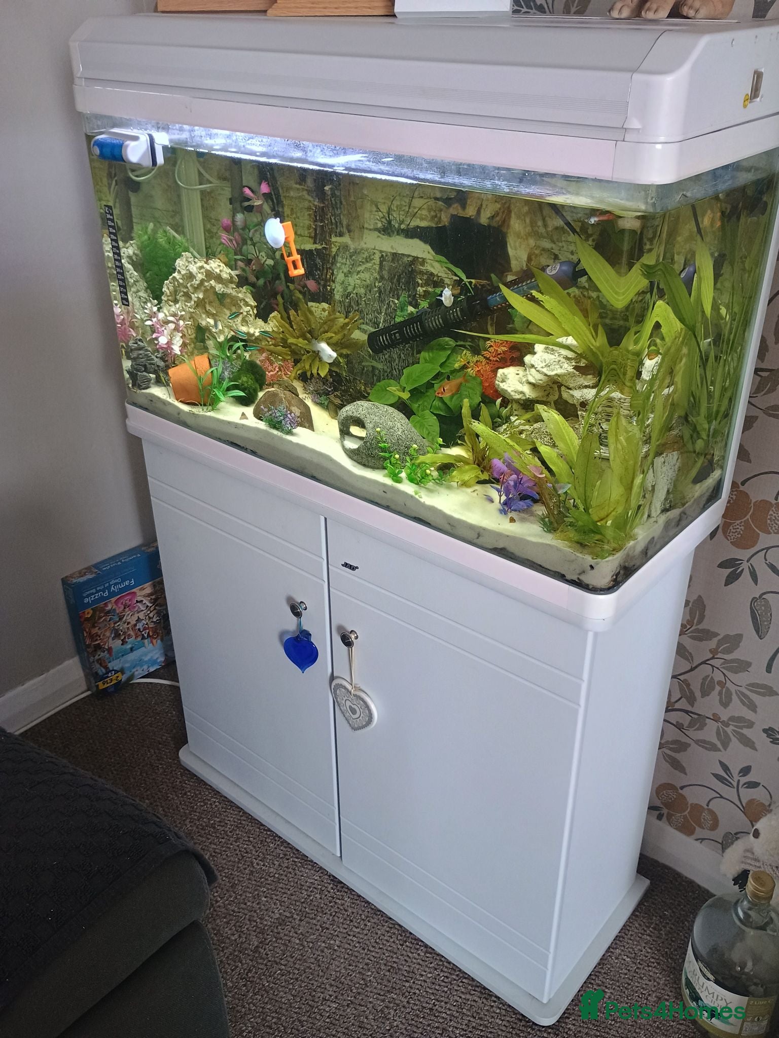Other/Mixed Breed fish Full fishtank set up - Advert 1