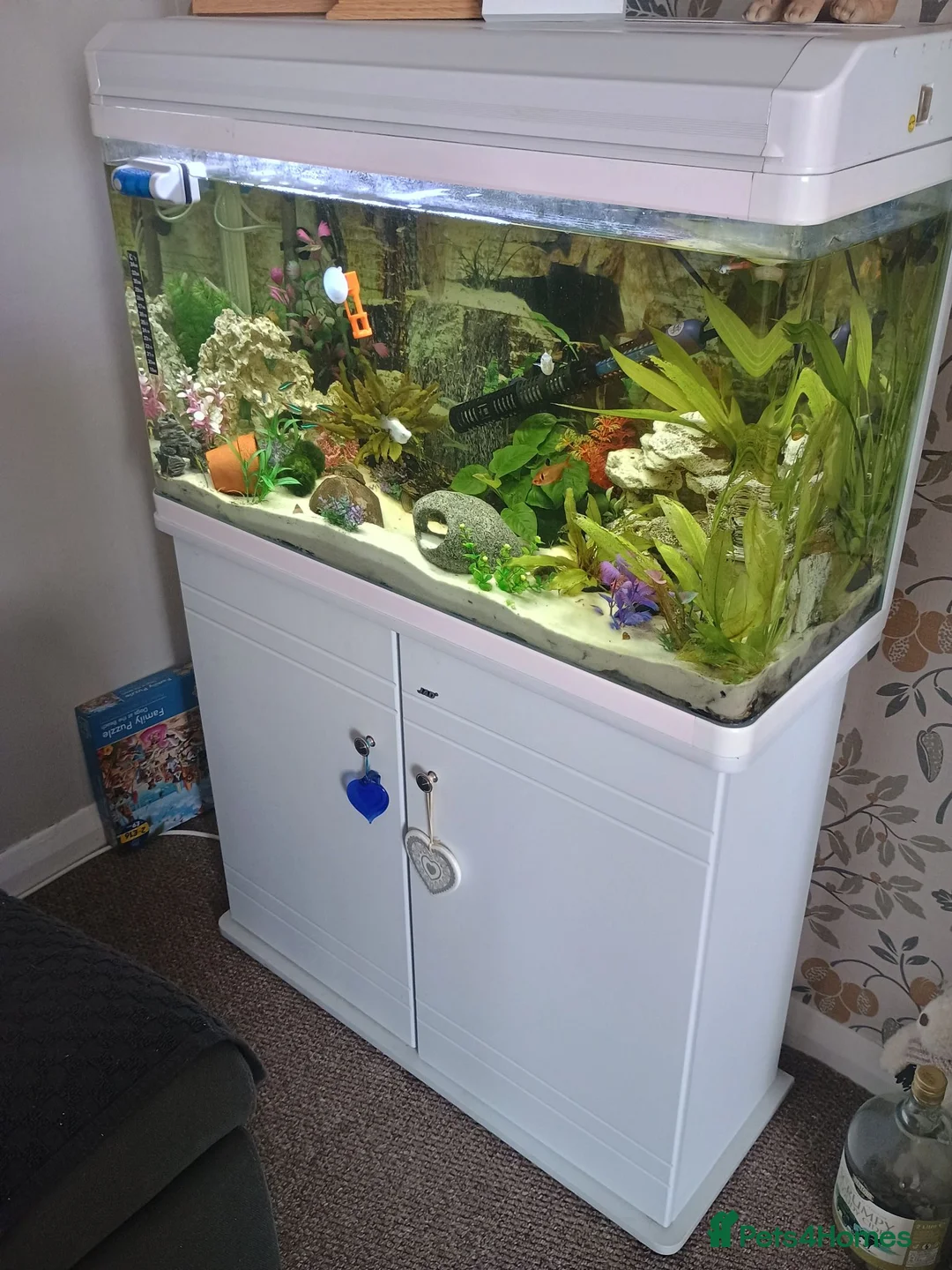 Other/Mixed Breed fish for sale: Full fishtank set up in Doncaster - Advert 1
